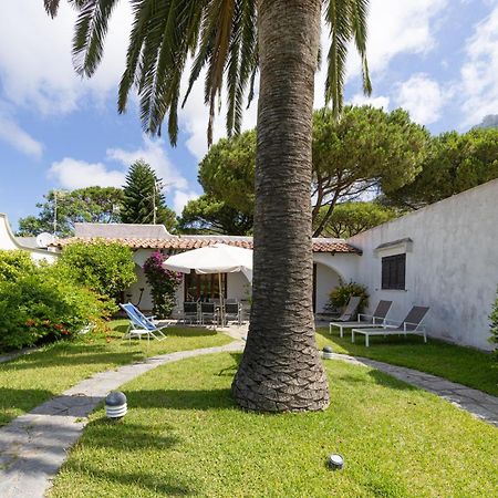 Villetta Con Giardino Esclusivo Di 1000 Mq, Piscina, Tennis, Calcio, Bocce Forio  Екстер'єр фото