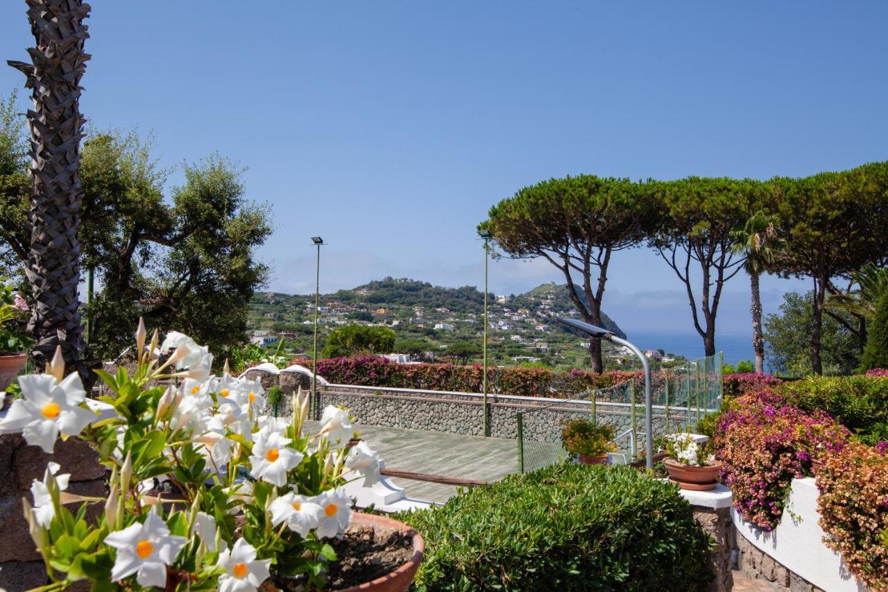 Villetta Con Giardino Esclusivo Di 1000 Mq, Piscina, Tennis, Calcio, Bocce Forio  Екстер'єр фото