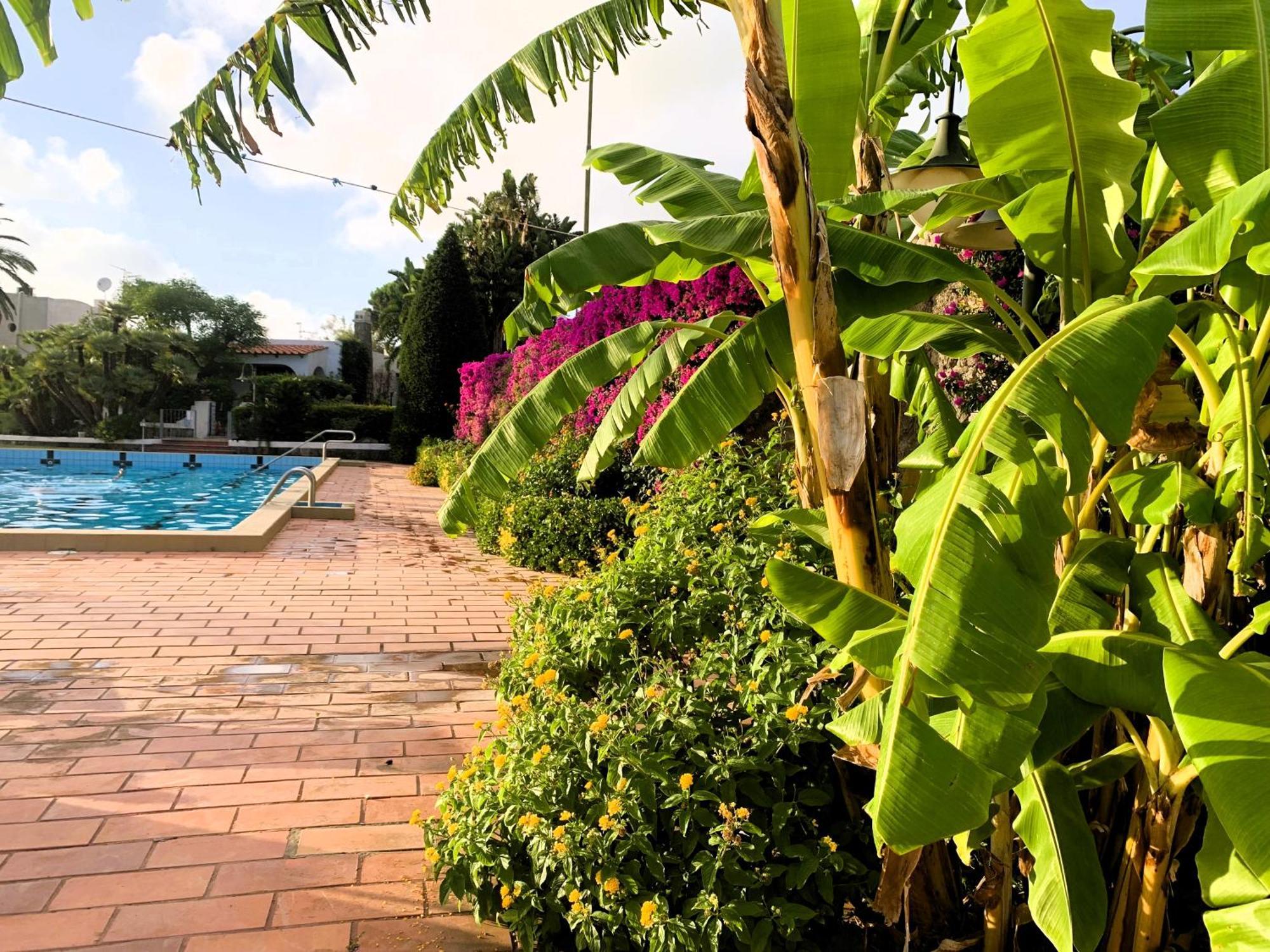 Villetta Con Giardino Esclusivo Di 1000 Mq, Piscina, Tennis, Calcio, Bocce Forio  Екстер'єр фото