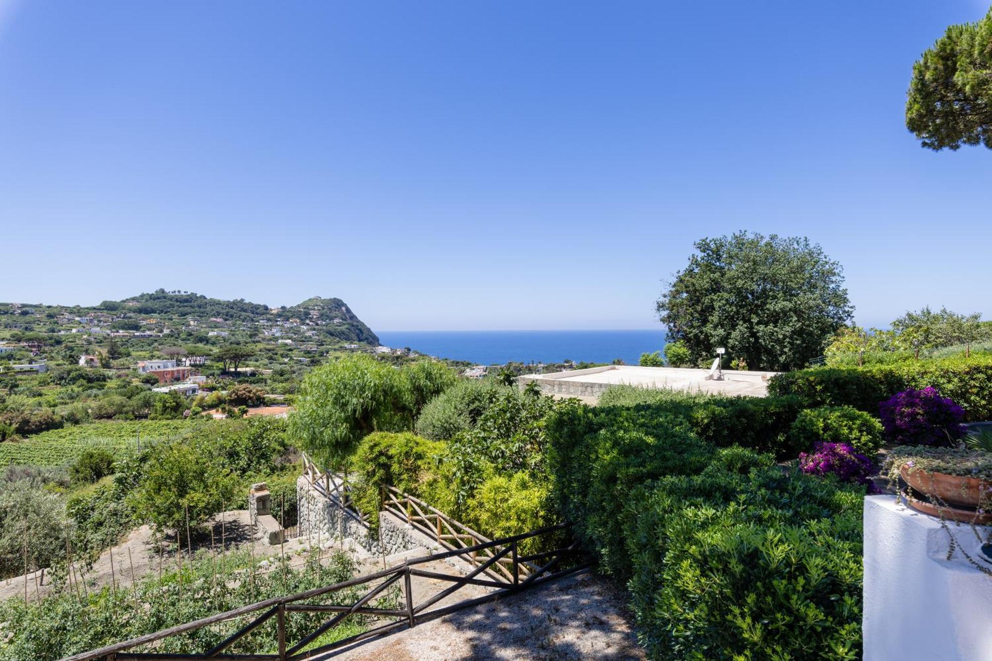 Villetta Con Giardino Esclusivo Di 1000 Mq, Piscina, Tennis, Calcio, Bocce Forio  Екстер'єр фото