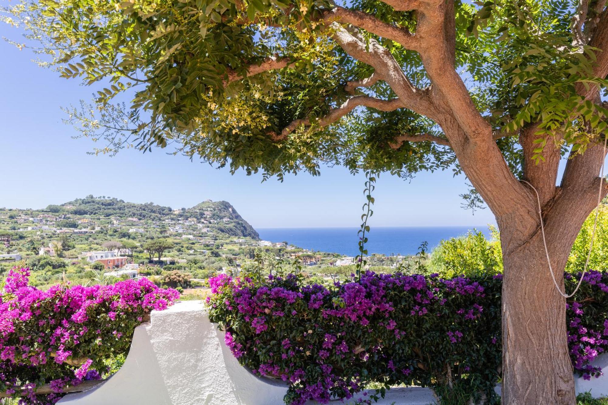 Villetta Con Giardino Esclusivo Di 1000 Mq, Piscina, Tennis, Calcio, Bocce Forio  Екстер'єр фото