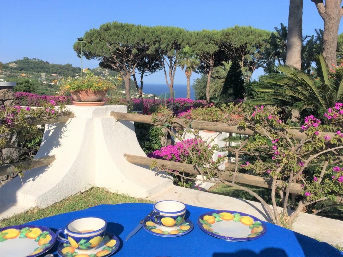 Villetta Con Giardino Esclusivo Di 1000 Mq, Piscina, Tennis, Calcio, Bocce Forio  Екстер'єр фото